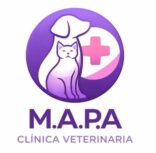 whatsapp image 2026 04 05 at 15.38.31