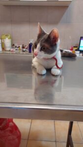 whatsapp image 2026 05 25 at 11.04.50(3)